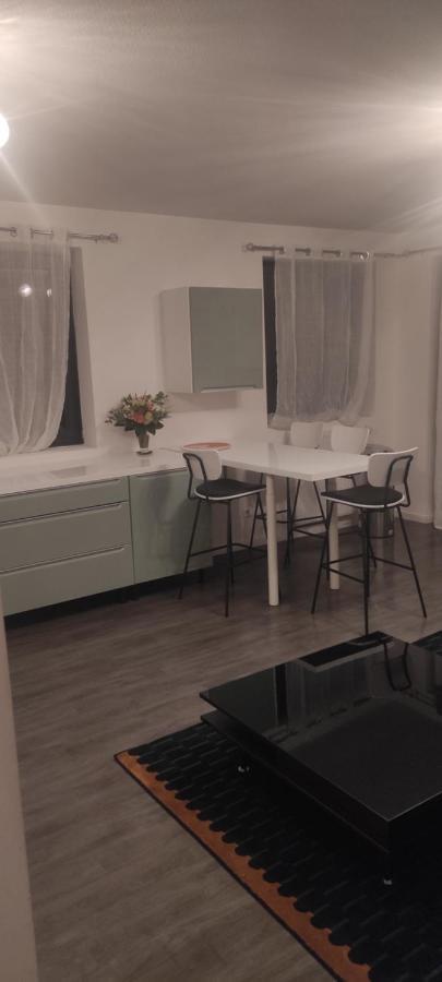 Grand Appartement 2 Chambres Avec Terrasse Bordeaux Extérieur photo